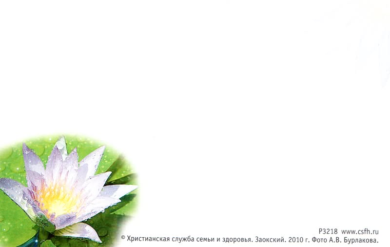 "Благодать вам и мир от Бога Отца нашего и Господа Иисуса Христа". 2 Фессал. 1:2. Водяная лилия. 