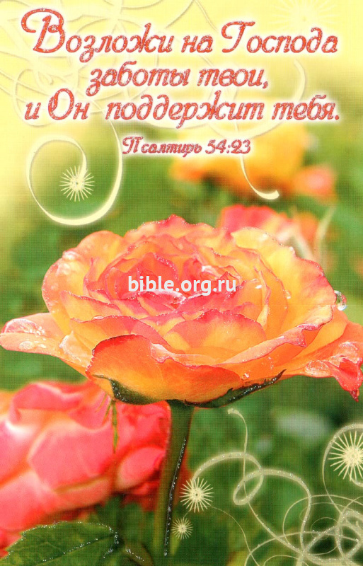 "Возложи на Господа заботы твои, и Он поддержит тебя." Роза. Псалом 54:23