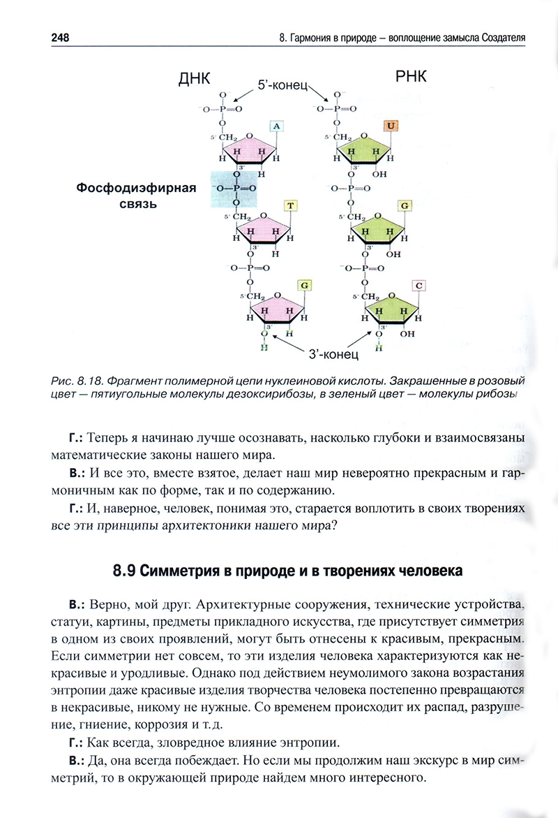 На пути к вечности. Привилегия выбора. И. М. Савич Любавич