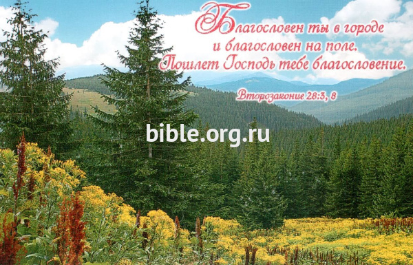 "Благословен ты в городе и благословен на поле...". Второзаконие 28:3,8. Лес и горы