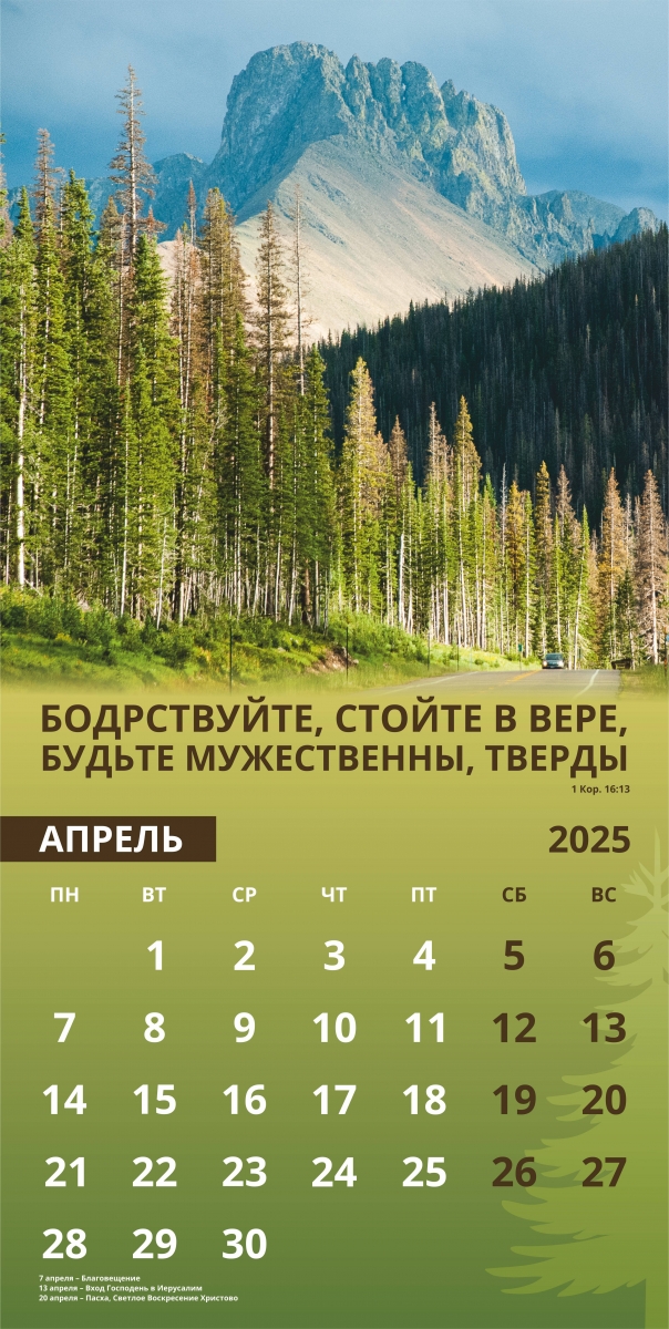 Календарь настенный перекидной Мужской "ДОСТИГАЯ ЦЕЛИ" 2025г