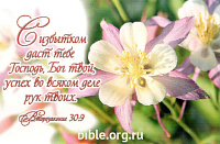 "С избытком даст тебе Господь, Бог твой, успех во всяком деле рук твоих." Второзак.30:9. Цветок