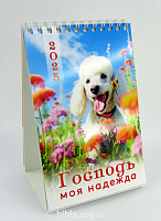 Календарь - домик "Господь моя надежда" 2025г, соединение спираль (гребенка).